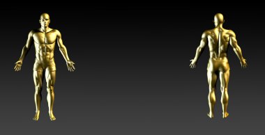 İnsan Vücut Sunum Arkaplanı