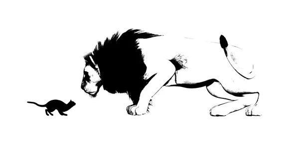 Espelho de gato e leão — Fotografia de Stock