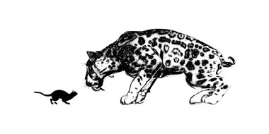 Ayna kedi ve Sabretooth