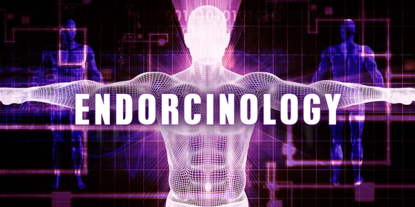 개념으로 서 Endorcinology — 스톡 사진