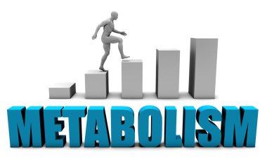 Metabolizma bir kavram olarak