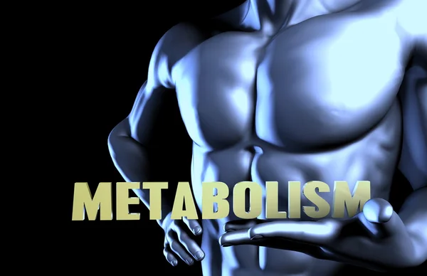 Metabolism as a Background Art — Stock Photo, Image