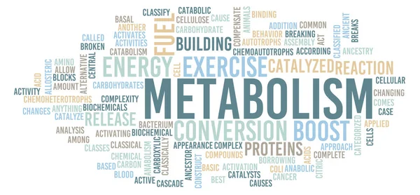 Metabolismo Cuerpo Concepto Reacción Química — Foto de Stock