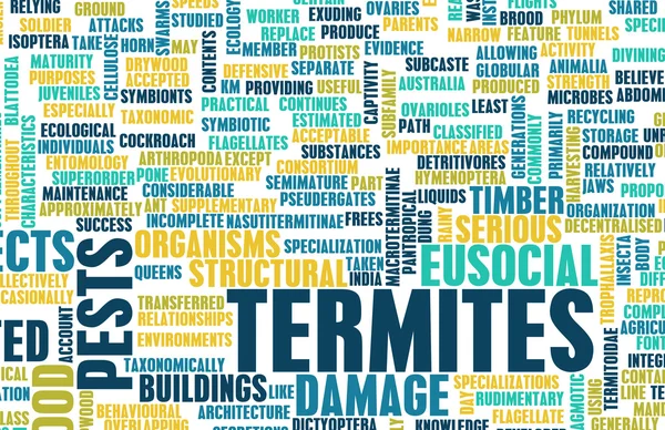 Термиты — стоковое фото