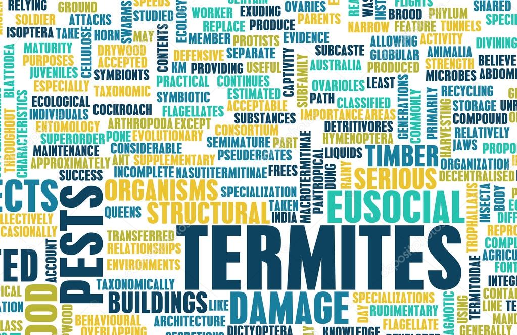 Termites Concept