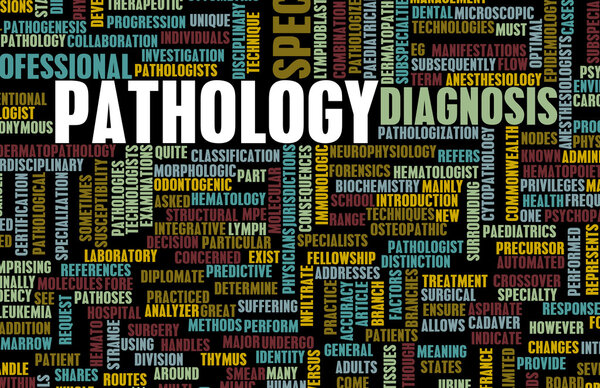 Искусство науки
