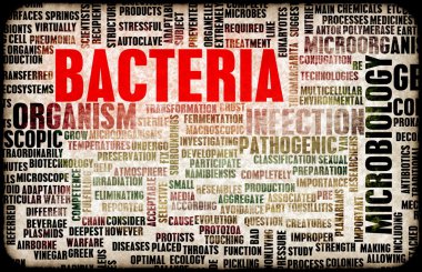 Bakteriler