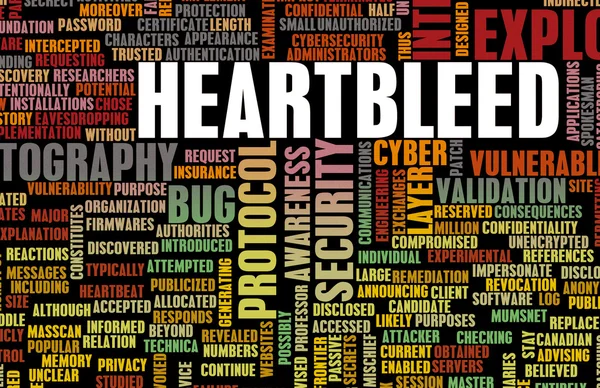 Heartbleed 利用漏洞攻击 — 图库照片