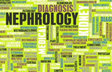 Nefroloji bilim doku