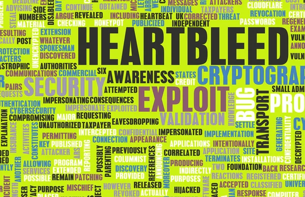 Heartbleed експлуатувати — стокове фото