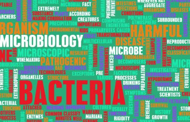 Bakteriler