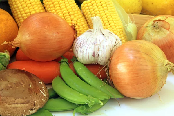 Vegetable Harvest — Stock Photo, Image