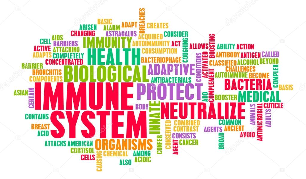 Immune System