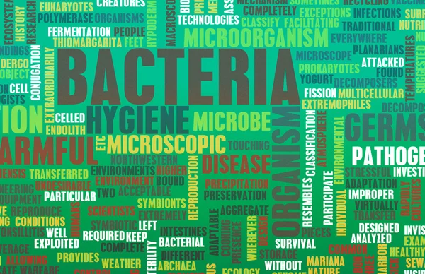 Bacterii — Fotografie, imagine de stoc