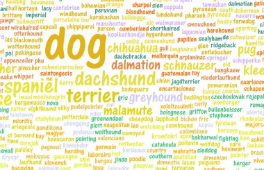 Tüm tip-in köpek