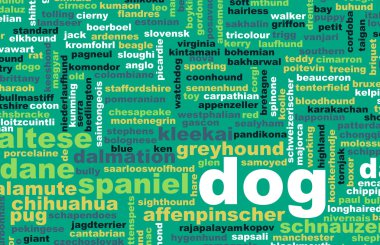 Tüm tip-in köpek
