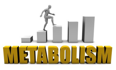 Metabolizma