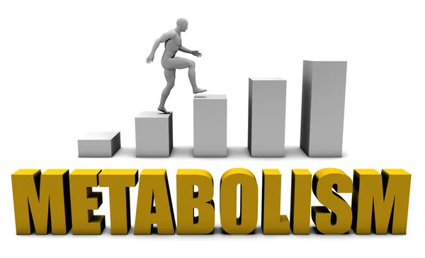 Metabolisme — Stockfoto