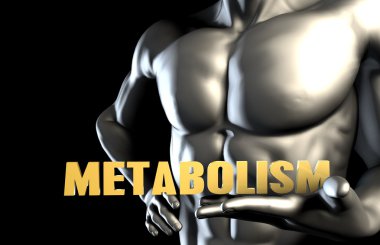 Muscular  Man with Metabolism inscription