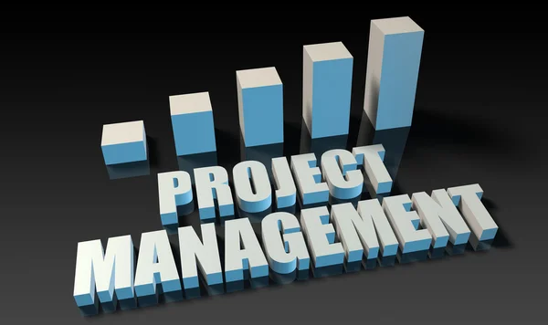 Project management — Stock Photo, Image