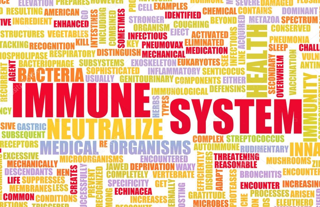 Immune System