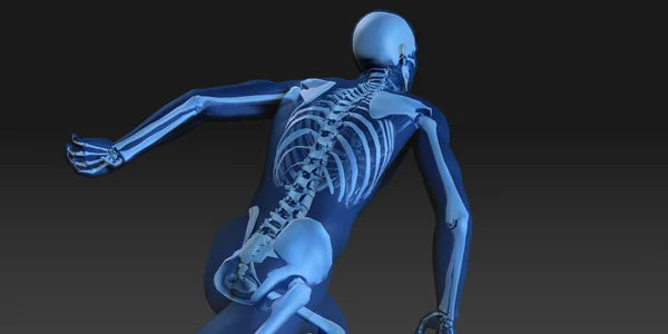 Anatomie des menschlichen Körpers und Skeletts — Stockfoto