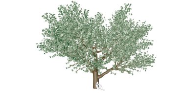 finansal planlama kavramı