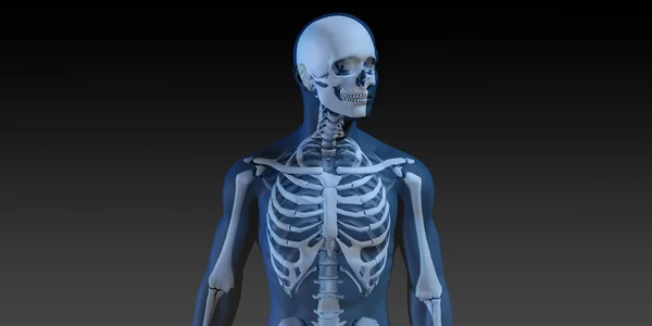 Conceito 3D de corpo masculino humano e esqueleto — Fotografia de Stock