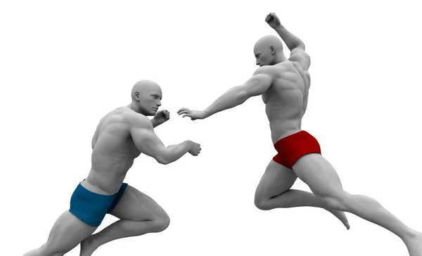 Martial Arts Combat — Stockfoto