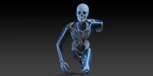 Röntgenbild mit Knochen — Stockfoto