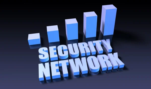 Sicherheitsnetzwerk als Konzept — Stockfoto