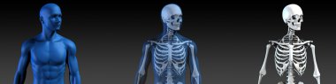 Kemik yapısı ile saydam insan