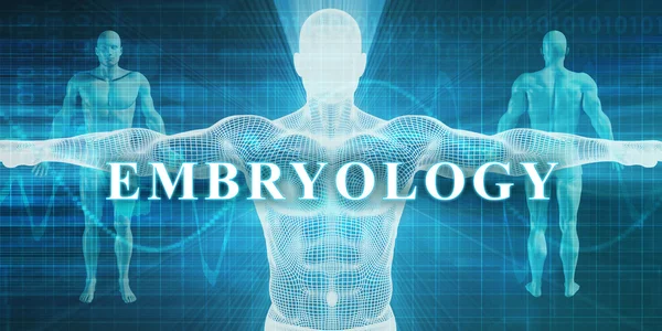 Embriológia Concept Art — Stock Fotó