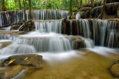 Tropikal derin orman şelale