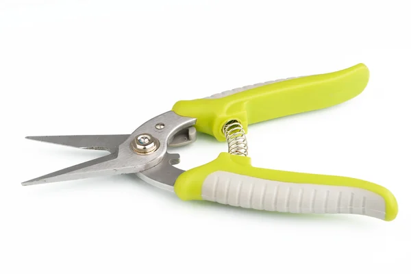 Gardening secateurs for cutting branches on white background — Stock Photo, Image