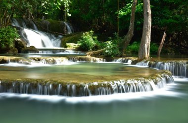 Tropikal derin orman sonbaharda su