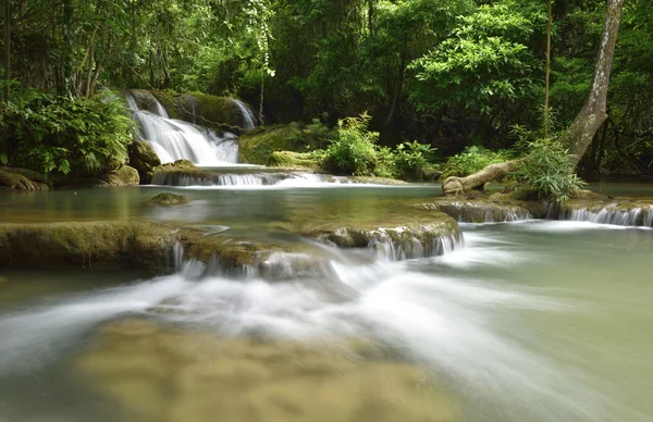 Вода падает в тропических глубоких лесах — стоковое фото