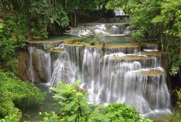 Вода падает в тропических глубоких лесах — стоковое фото