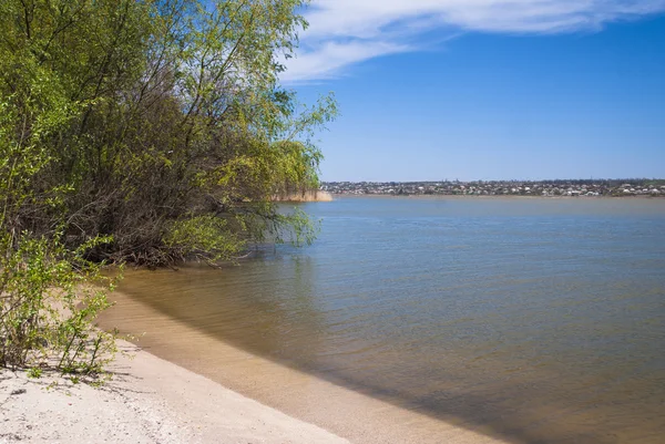 Güzel manzara. Nehir ve orman