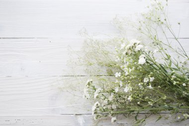 Gypsophila çiçek ahşap arka plan üzerinde