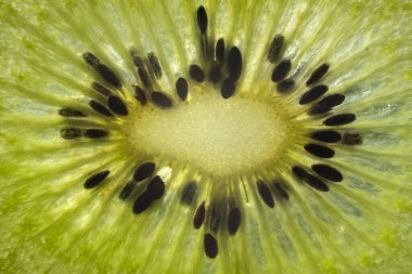 Makro kivi dilimi. Kivinin şeffaf dokusu. Bir kivinin soyut fotoğrafı