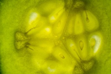 Yakından salatalık dilimi. Salatalığın şeffaf dokusu. Vejetaryen yemeği.