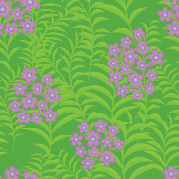 Seamless background with verbena flowers — Stock Vector