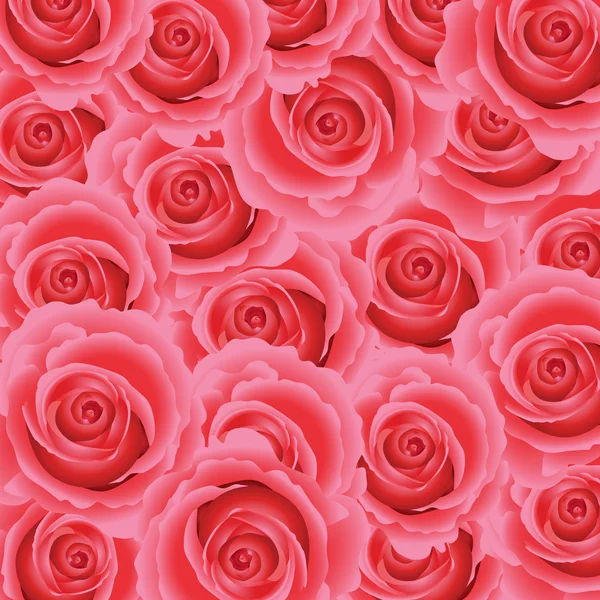 Rosa rosa fondo floral . — Vector de stock