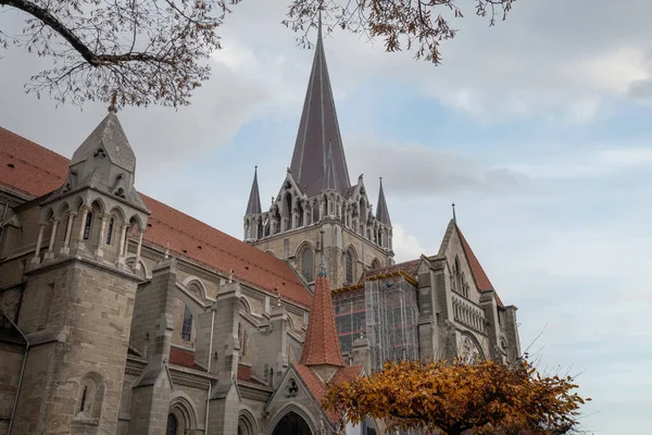 Cathédrale Lausanne Lausanne Suisse — Photo