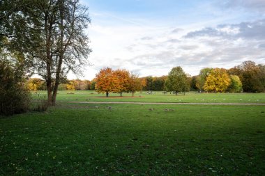 Güz boyunca Englischen Garten Parkı - Münih, Bavyera, Almanya
