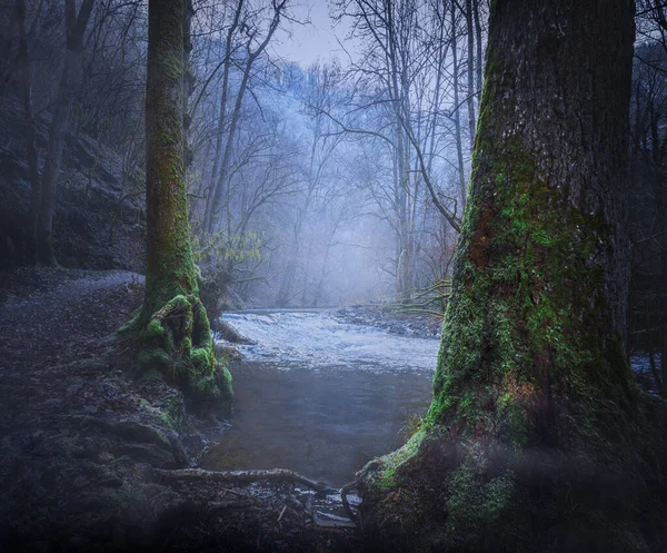 Bosque Misterioso Río Invierno Con Niebla Musgo — Foto de Stock