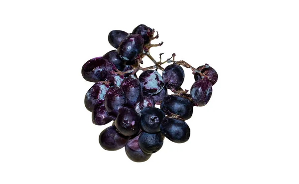 腐烂的葡萄在白色的背景上被隔离 一堆有霉菌的葡萄 — 图库照片