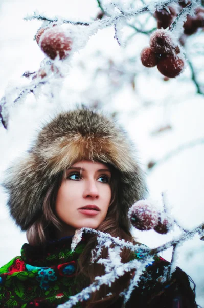 Chica invierno —  Fotos de Stock