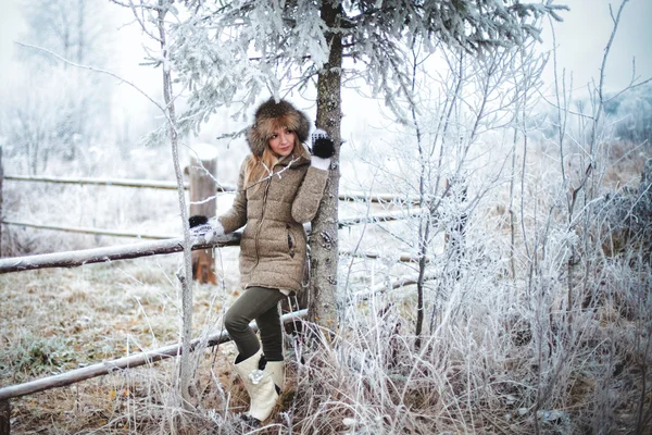 Meisje in de winter — Stockfoto